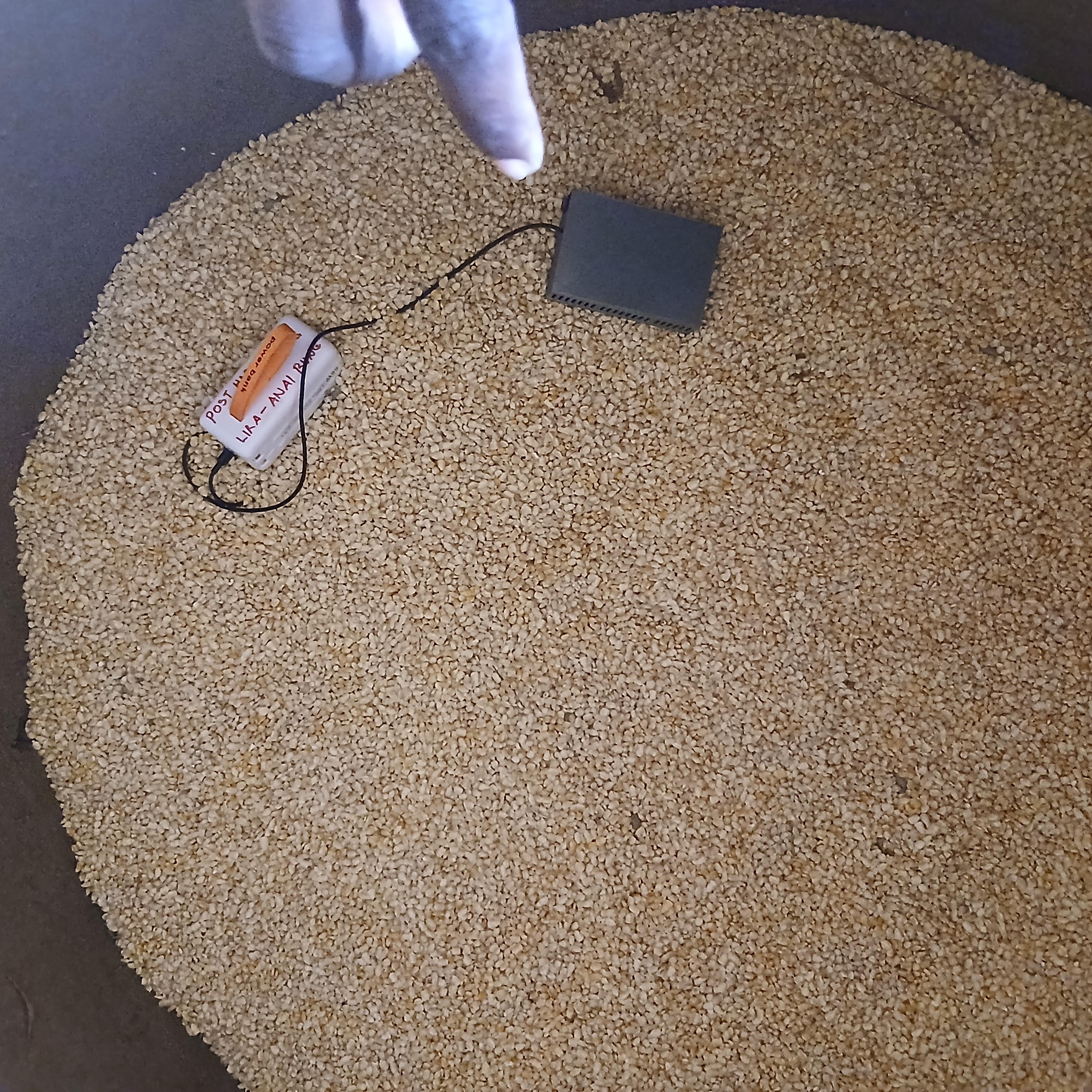 Lira Store 1 Image 2